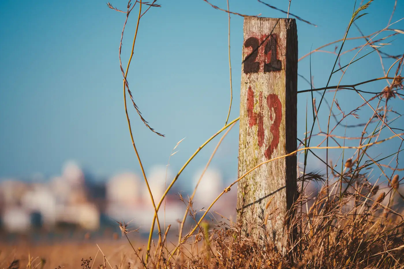 A weathered wooden post marked with painted numbers, standing in a dry grass field.